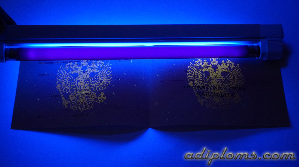 Диплом кандидата наук Фото